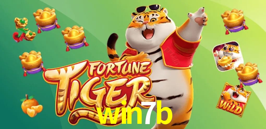 Bonus Features win7b